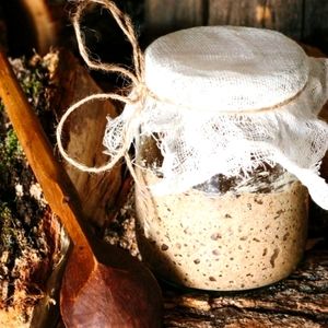 100 g Grandmas Amish Heirloom Mature live SOURDOUGH STARTER Certified Organic